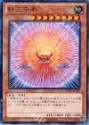 REDU-JP039 NR 針三千本