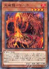  RIRA-JP014 N 天威龍-マニラ 