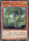  RIRA-JP015 N 天威龍-ナハタ 