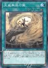 RIRA-JP058 N 天威無崩の地