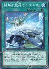  RIRA-JP060 N 神鳥の霊峰エルブルズ 