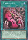  ROTA-JP056 N 白き森のあくま 