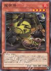 ROTD-JP035 NR 龍狸燈