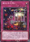 ROTD-JP074 N 魔玩具厄瓶
