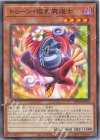 RV01-JP018 N トゥーン・仮面魔道士