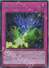 RV01-JP053 SE 破械習合