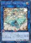  SAST-JP049 N トリックスター・ディーヴァリディス 