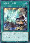  SAST-JP061 N 守護竜の結界 