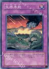 SD09-JP029 N 生存本能
