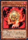  SD24-JP019 N 焔虎 