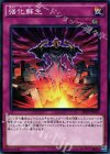  SD29-JP037 N 強化蘇生 