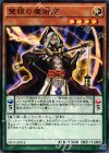  SD31-JP014 N 慧眼の魔術師 