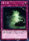  SD32-JP037 N 量子猫 