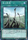 SD36-JP029 N 竜の霊廟
