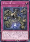  SD37-JP034 N 影依の原核 