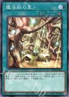  SD39-JP023 N 魔法族の里 