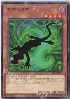  SD42-JP017 N カゲトカゲ 