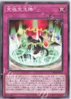  SD44-JP037 N 究極宝玉陣 