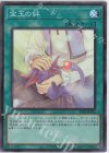  SD44-JPP05 SR 宝玉の絆 