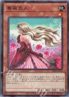 SD45-JP015 N 薔薇恋人