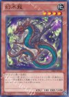  SHSP-JP010 N 幻木龍 