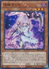  SHVI-JP040 SR 浮幽さくら 