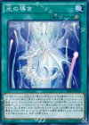  SHVI-JP060 N 光の導き 