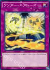  SHVI-JP076 N ワンダー・エクシーズ 