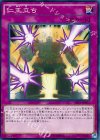  SHVI-JP077 N 仁王立ち 
