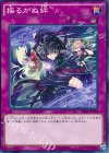  SHVI-JP079 N 揺るがぬ絆 