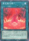  SLF1-JP031 N 暴走魔法陣 