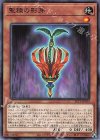  SLT1-JP029 P-N 聖種の影芽 