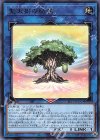  SLT1-JP031 R 聖天樹の幼精 
