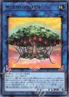  SLT1-JP033 R 聖天樹の大精霊 