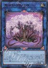  SLT1-JP034 UR 聖天樹の大母神 