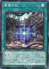  SLT1-JP038 N 聖蔓の社 