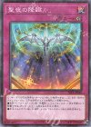  SLT1-JP048 P-N 聖夜の降臨 