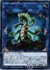 SOFU-JP048 R 竜絶蘭 