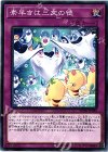  SOFU-JP080 NR 素早きは三文の徳 