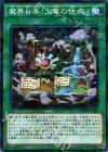  SPDS-JP025 P-N 魔界台本「火竜の住処」 