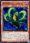  SPFE-JP002 SR 捕食植物ドロソフィルム・ヒドラ 