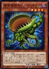  SPFE-JP004 N 捕食植物スピノ・ディオネア 
