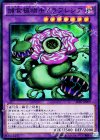  SPFE-JP009 SR 捕食植物キメラフレシア 