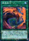 SPFE-JP041 P-N 置換融合
