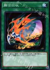  SPFE-JP044 N 融合回収 