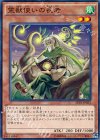  SPTR-JP023 N 霊獣使いの長老 