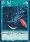  SPTR-JP044 N 黒い旋風 
