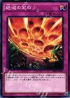 SR04-JP033 N 絶滅の定め 
