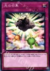  SR05-JP033 N 光の召集 