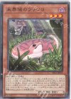  SR13-JP019 P-N 未界域のツチノコ 